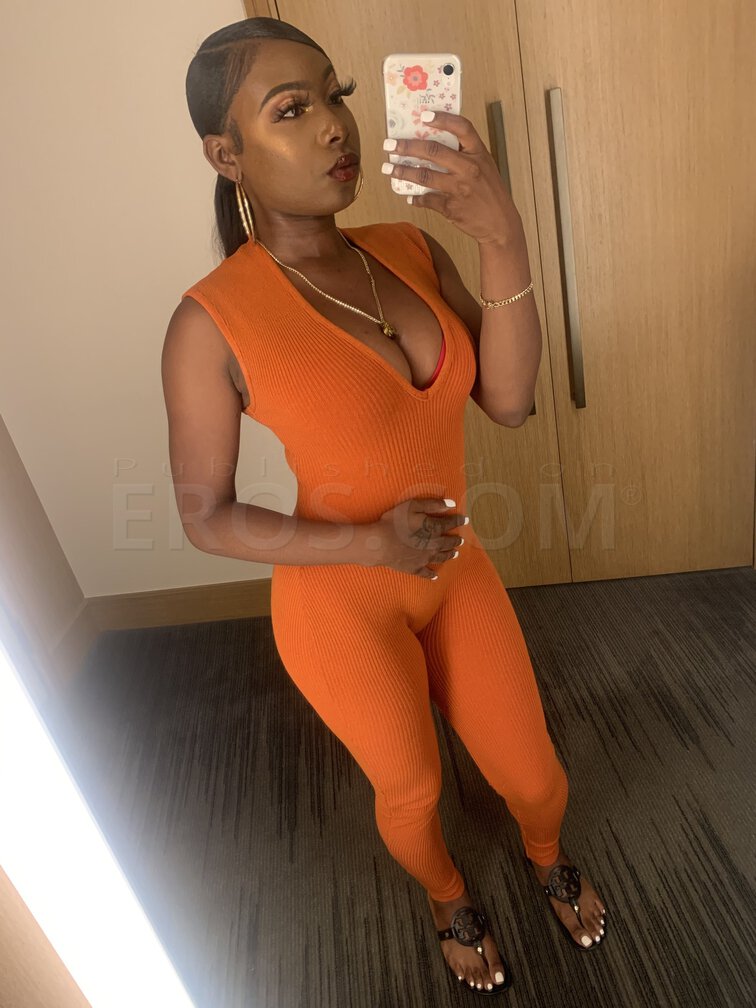 Cynderella