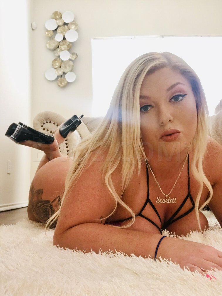 Scarlett rose of texas