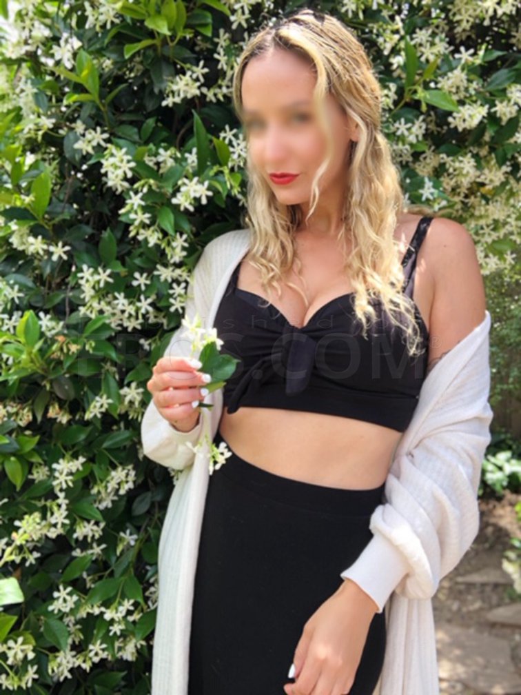 Bella La Rose