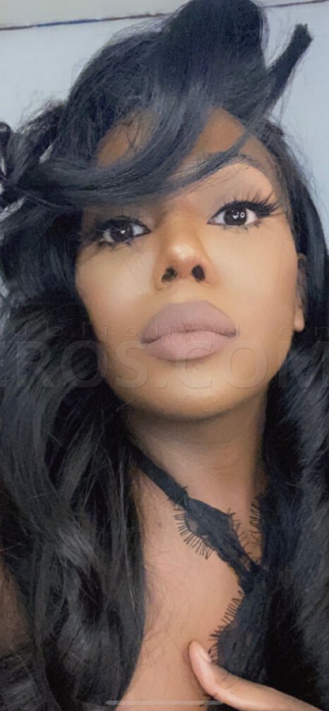 TS Ebony Doll Model - 2012732849 - Located in New york, New york city