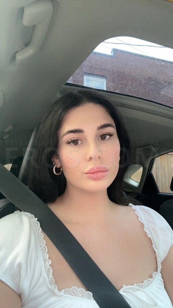 TS Bailey Archer Model - 12137292237 - Located in Uncategorized