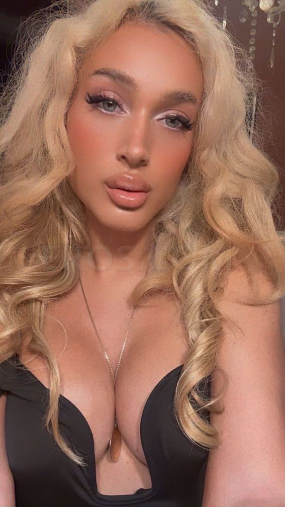 Persian Doll