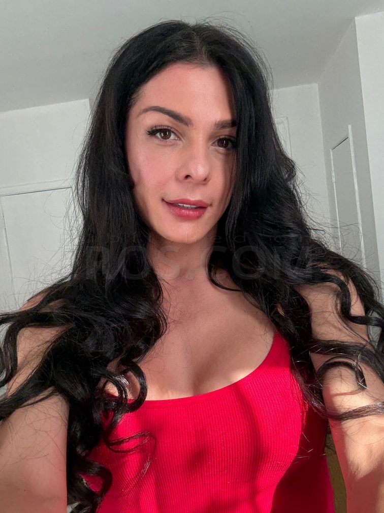 Topmodeltrans