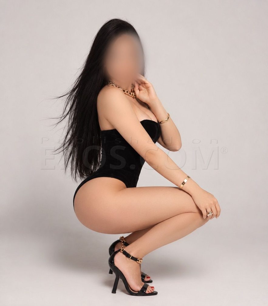 NOVI – Ayla Torre