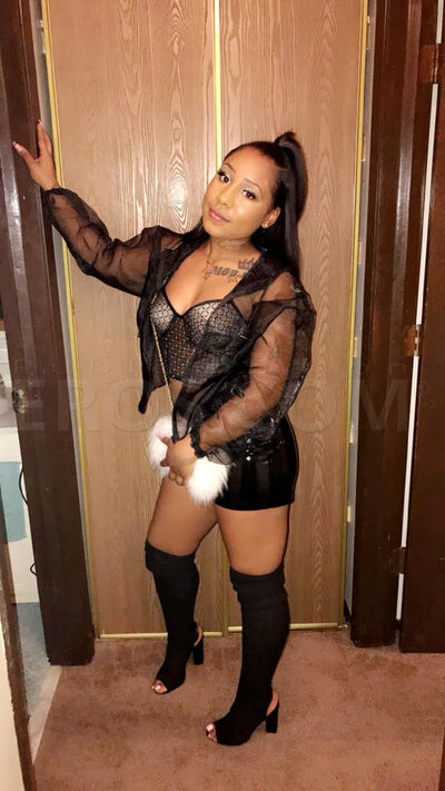 ivy