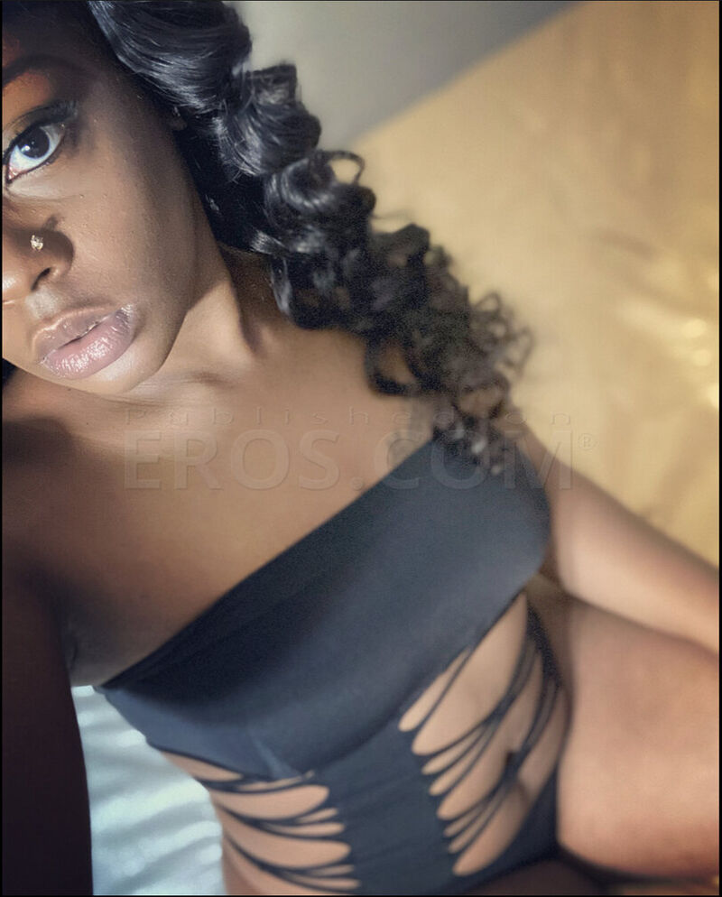 Look No Further