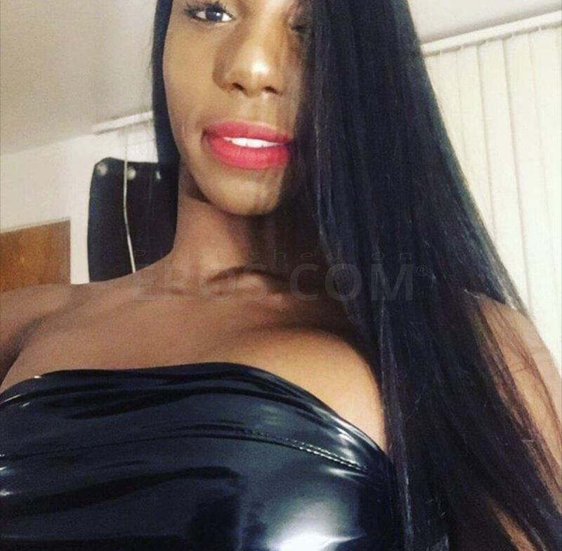 Vixen Vee