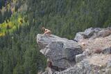 Sapphire Jones in Colorado, photo 3